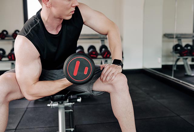 hammer alternating dumbbell seated bench